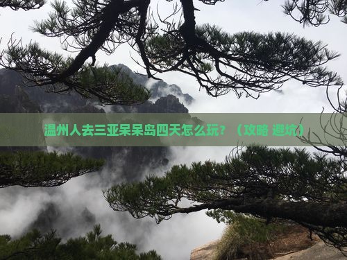 温州去三亚呆呆岛四日游