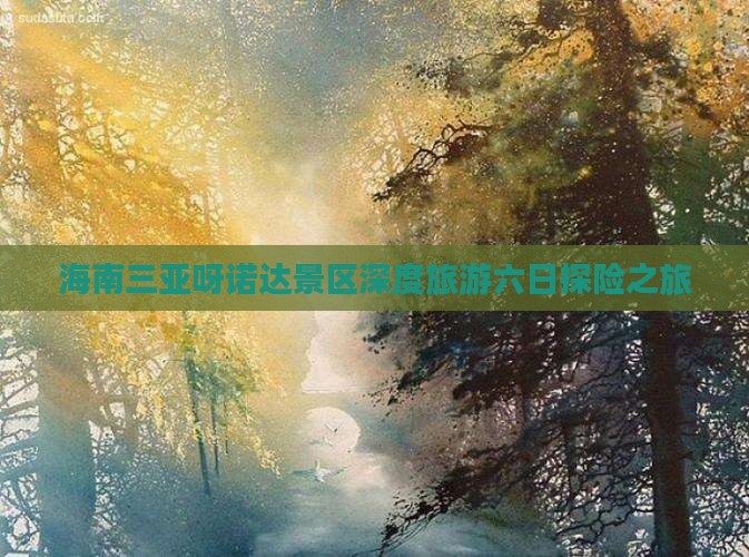 海南三亚呀诺达景区深度旅游六日探险之旅