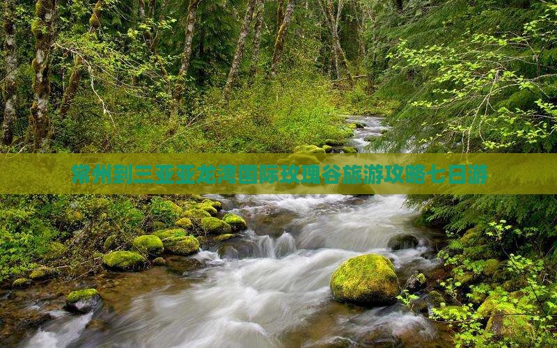 常州到三亚亚龙湾国际玫瑰谷旅游攻略七日游