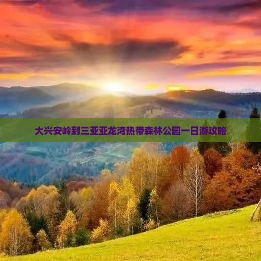 大兴安岭到三亚亚龙湾热带森林公园一日游攻略