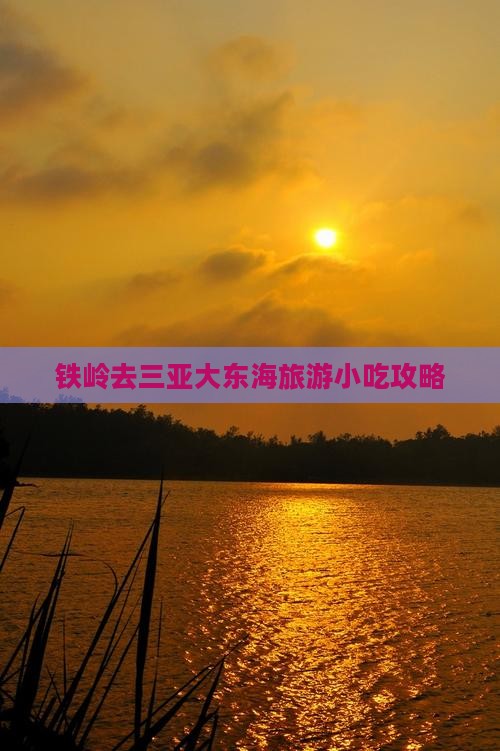 铁岭去三亚大东海旅游小吃攻略