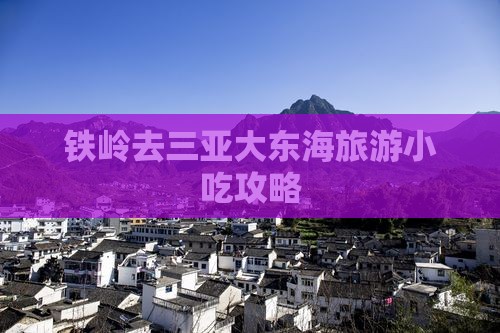 铁岭去三亚大东海旅游小吃攻略