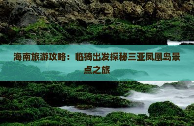 海南旅游攻略：临猗出发探秘三亚凤凰岛景点之旅