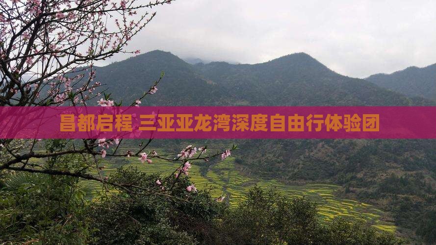 昌都启程 三亚亚龙湾深度自由行体验团