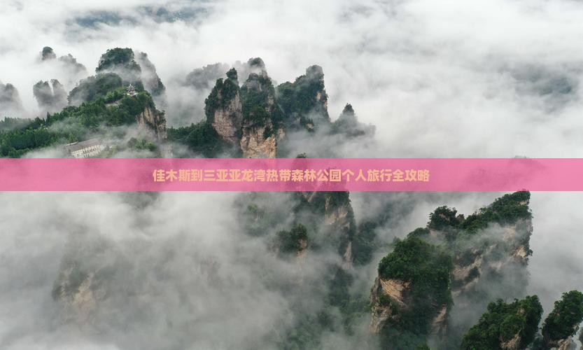佳木斯到三亚亚龙湾热带森林公园个人旅行全攻略