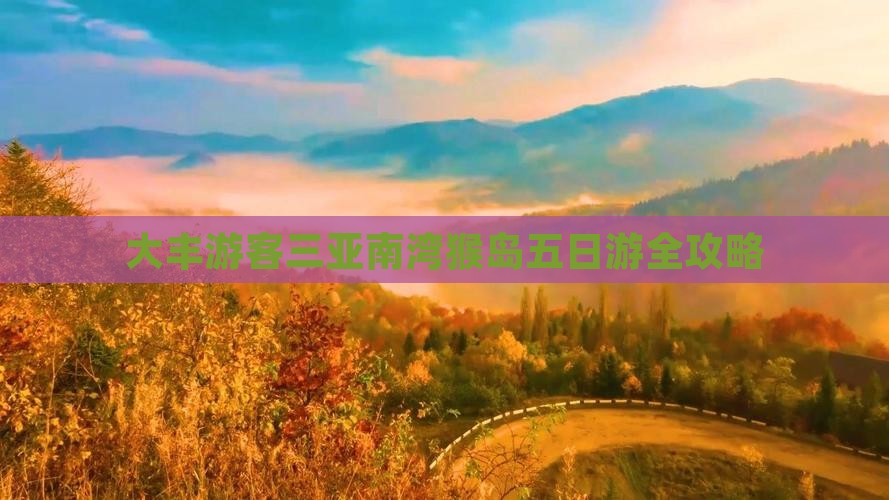 大丰游客三亚南湾猴岛五日游全攻略