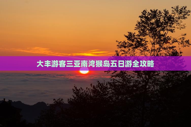 大丰游客三亚南湾猴岛五日游全攻略