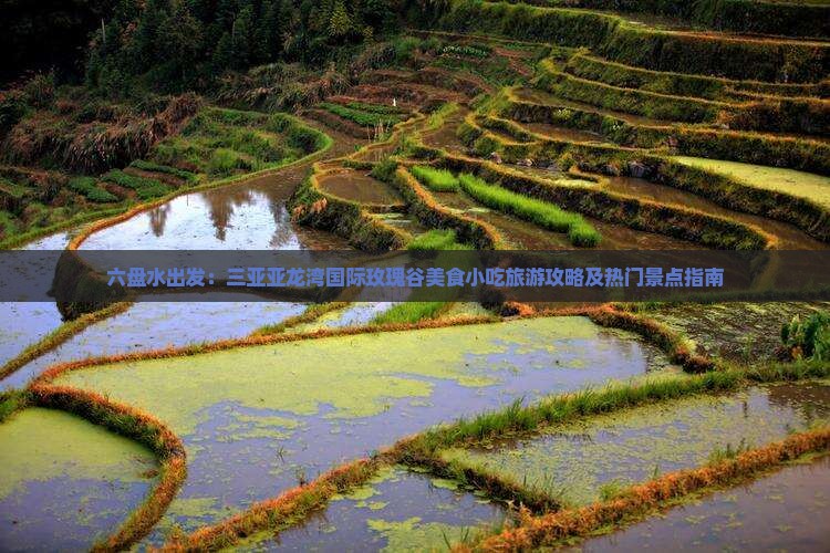 六盘水出发：三亚亚龙湾国际玫瑰谷美食小吃旅游攻略及热门景点指南