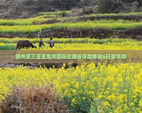 锦州至三亚亚龙湾国际玫瑰谷深度体验6日豪华游