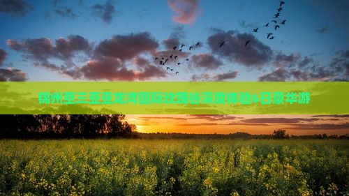 锦州至三亚亚龙湾国际玫瑰谷深度体验6日豪华游