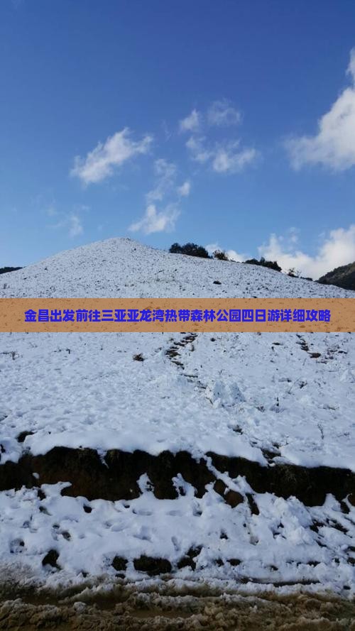 金昌出发前往三亚亚龙湾热带森林公园四日游详细攻略