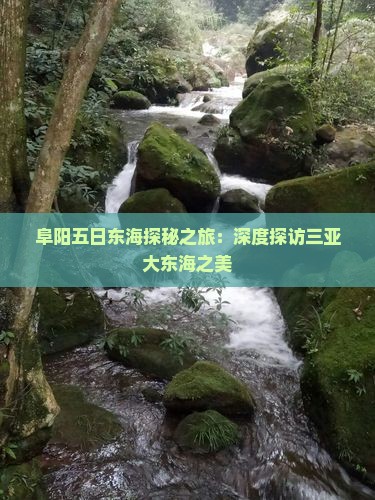 阜阳五日东海探秘之旅：深度探访三亚大东海之美