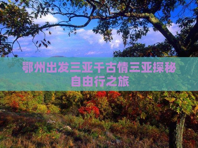 鄂州出发三亚千古情三亚探秘自由行之旅