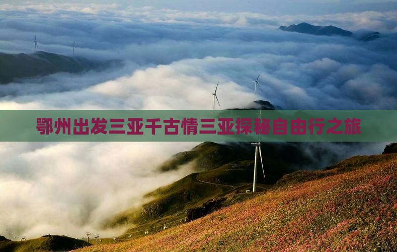 鄂州出发三亚千古情三亚探秘自由行之旅
