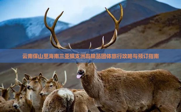 云南保山至海南三亚蜈支洲岛精品团体旅行攻略与预订指南