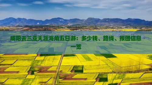咸阳去三亚天涯海角五日游：多少钱、路线、报团信息一览