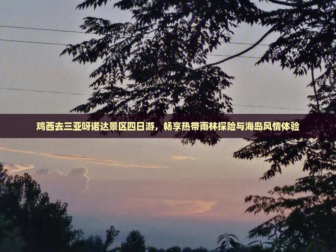 鸡西去三亚呀诺达景区四日游，畅享热带雨林探险与海岛风情体验