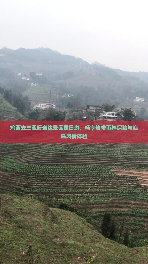 鸡西去三亚呀诺达景区四日游，畅享热带雨林探险与海岛风情体验