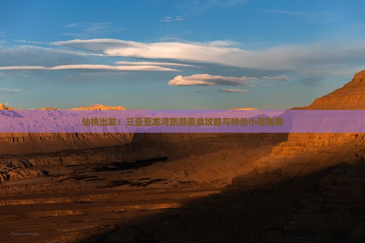 仙桃出发：三亚亚龙湾旅游美食攻略与特色小吃指南