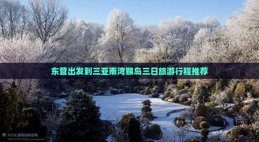 东营出发到三亚南湾猴岛三日旅游行程推荐