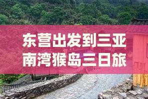 东营出发到三亚南湾猴岛三日旅游行程推荐