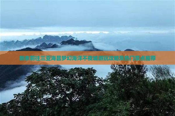 新余前往三亚海昌梦幻海洋不夜城游玩攻略及热门景点推荐