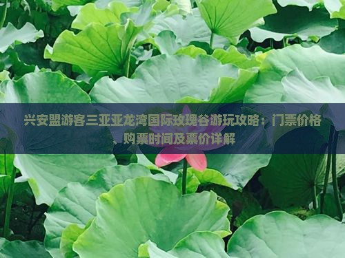 兴安盟游客三亚亚龙湾国际玫瑰谷游玩攻略：门票价格、购票时间及票价详解
