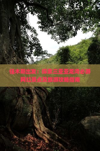 佳木斯出发：探索三亚亚龙湾必游网红景点及旅游攻略指南