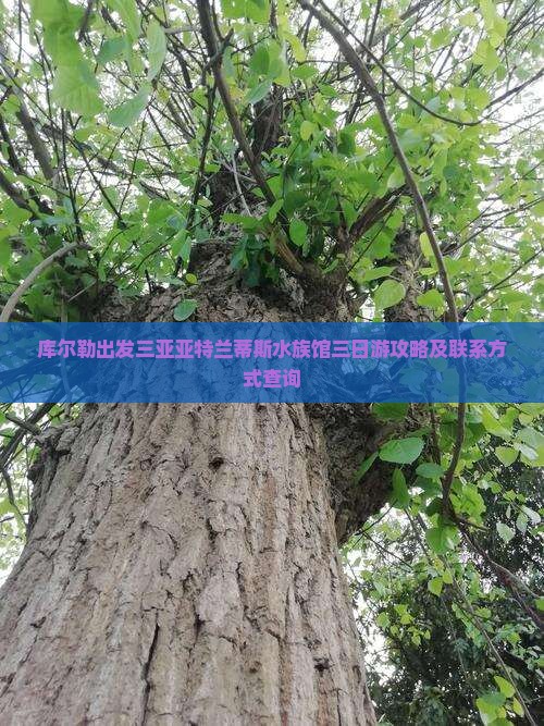 库尔勒出发三亚亚特兰蒂斯水族馆三日游攻略及联系方式查询