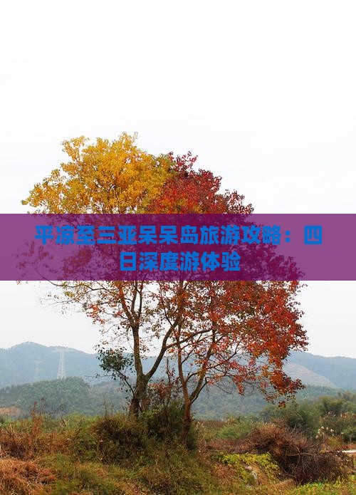 平凉至三亚呆呆岛旅游攻略：四日深度游体验