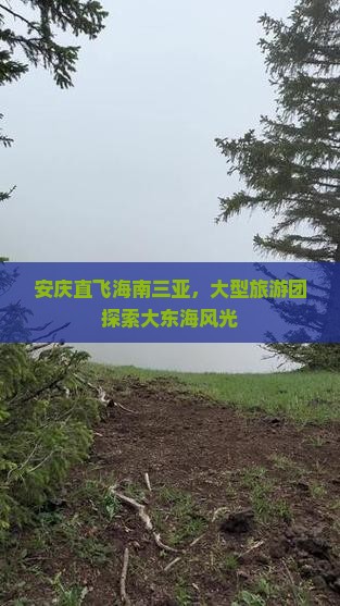 安庆直飞海南三亚，大型旅游团探索大东海风光