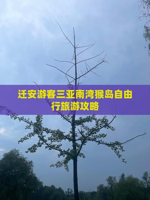 迁安游客三亚南湾猴岛自由行旅游攻略