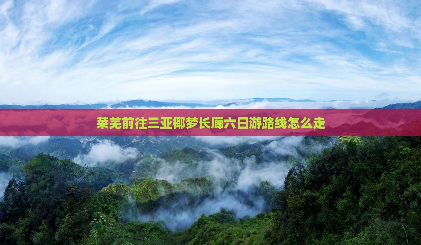 莱芜前往三亚椰梦长廊六日游路线怎么走