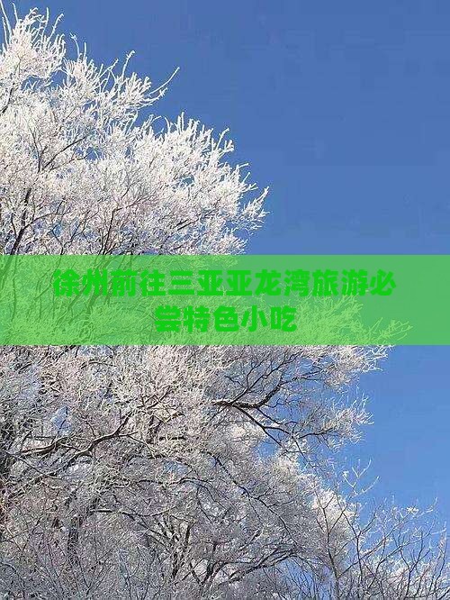 徐州前往三亚亚龙湾旅游必尝特色小吃