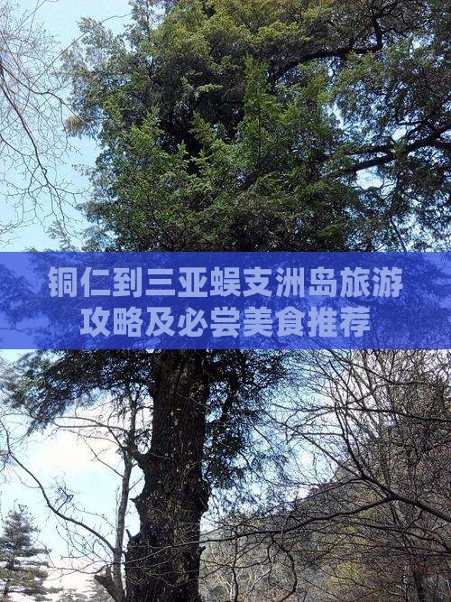 铜仁到三亚蜈支洲岛旅游攻略及必尝美食推荐
