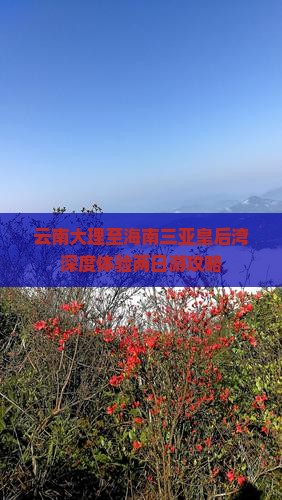 云南大理至海南三亚皇后湾深度体验两日游攻略