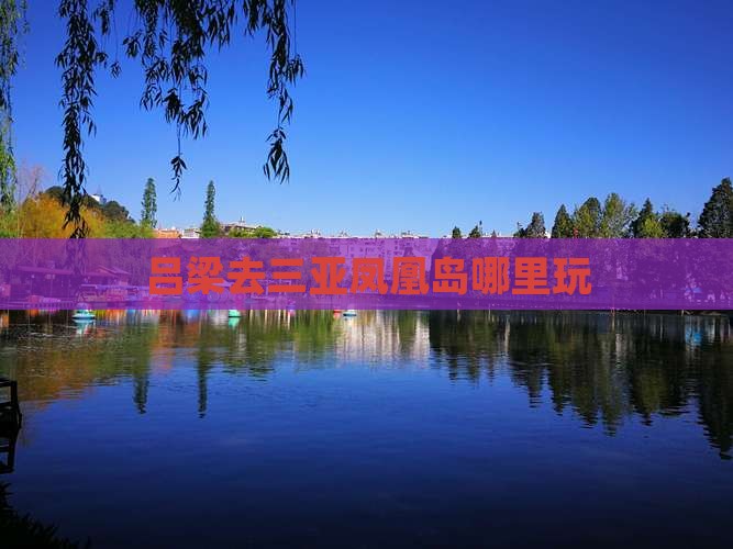 吕梁去三亚凤凰岛哪里玩
