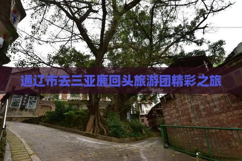 通辽市去三亚鹿回头旅游团精彩之旅
