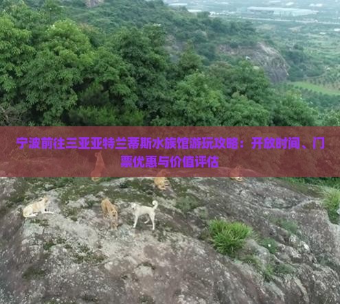 宁波前往三亚亚特兰蒂斯水族馆游玩攻略：开放时间、门票优惠与价值评估