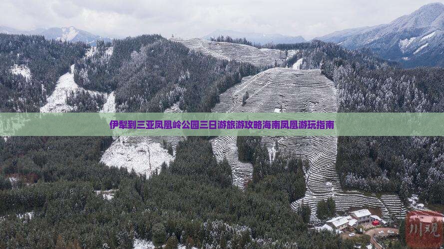 伊犁到三亚凤凰岭公园三日游旅游攻略海南凤凰游玩指南