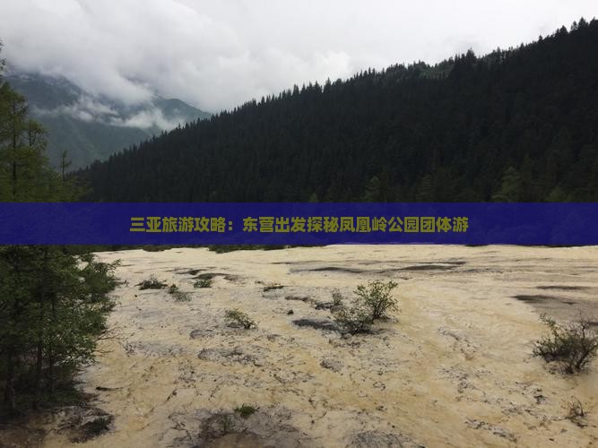 三亚旅游攻略：东营出发探秘凤凰岭公园团体游