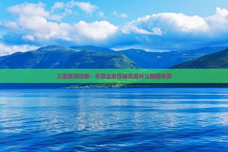 三亚旅游攻略：东营出发探秘凤凰岭公园团体游