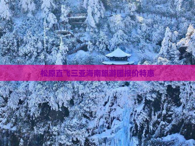 松原直飞三亚海南旅游团报价特惠