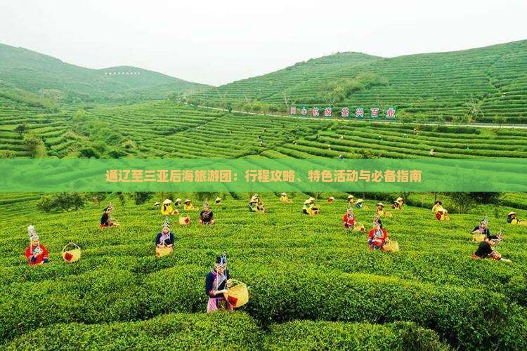 通辽至三亚后海旅游团：行程攻略、特色活动与必备指南