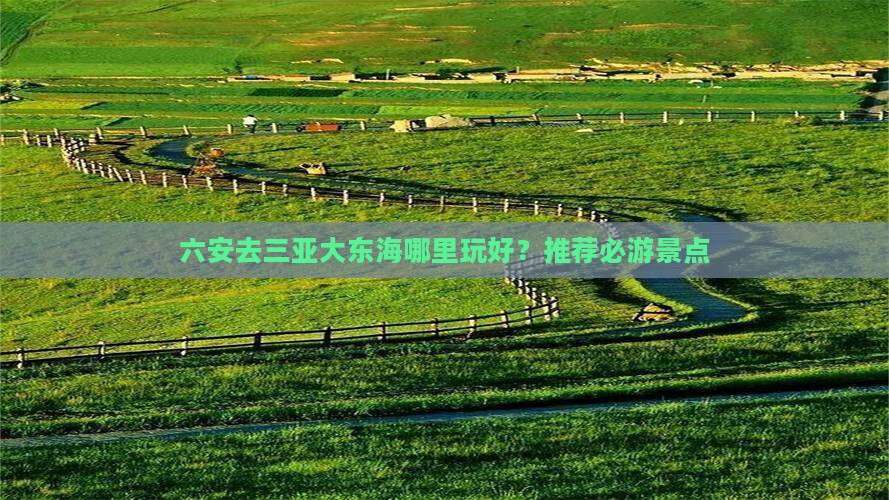 六安去三亚大东海哪里玩好？推荐必游景点