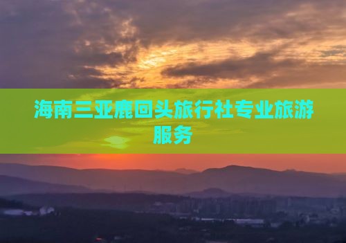 海南三亚鹿回头旅行社专业旅游服务 海南三亚鹿回头旅行社专业旅游服务