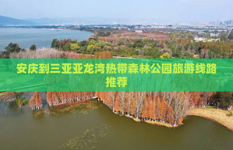 安庆到三亚亚龙湾热带森林公园旅游线路推荐