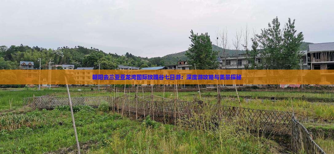 朝阳去三亚亚龙湾国际玫瑰谷七日游：深度游攻略与美景探秘