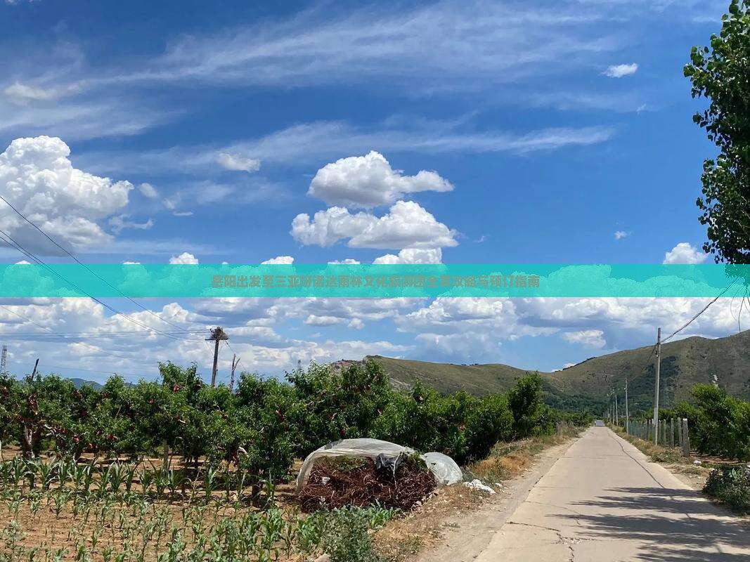 岳阳出发至三亚呀诺达雨林文化旅游团全景攻略与预订指南 岳阳出发至三亚呀诺达雨林文化旅游团全景攻略与预订指南