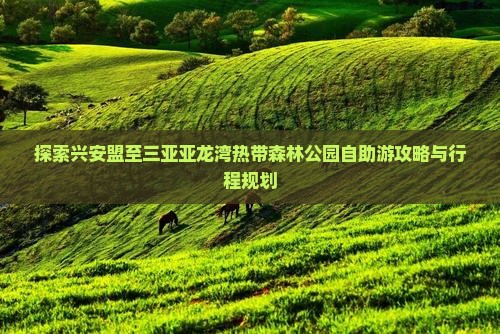 探索兴安盟至三亚亚龙湾热带森林公园自助游攻略与行程规划